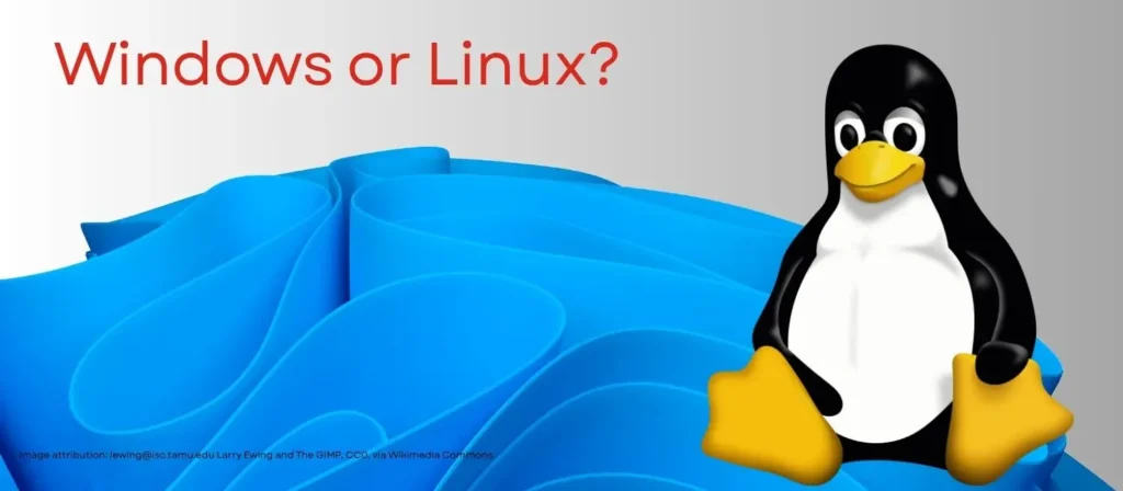 A penguin sitting near a wavy blue banner
