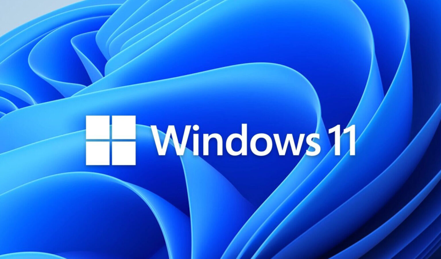Windows 11 Insight Banner